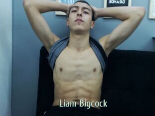 Liam_Bigcock