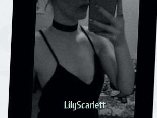 Lily_Scarlett