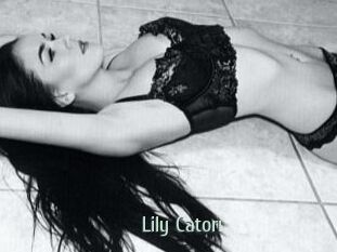 Lily_Catori