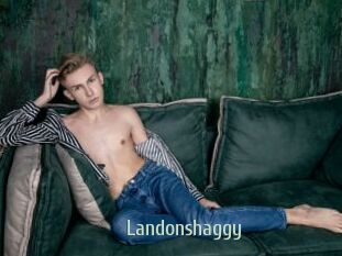 landonshaggy Sexcam Zone