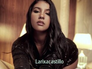 Larixacastillo