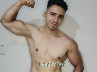 liam_forest Sexcam Zone