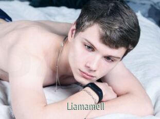 Liamamell
