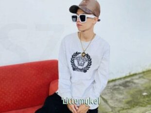 Littemykel