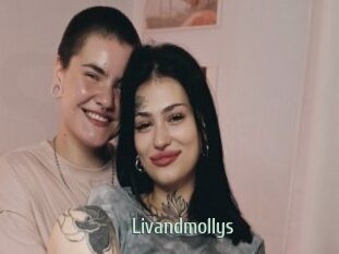 Livandmollys