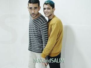 MAXandSALIM