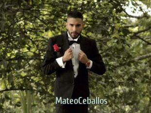 MateoCeballos