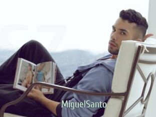 MiguelSanto