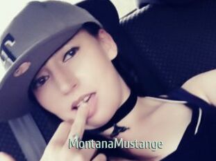 MontanaMustange