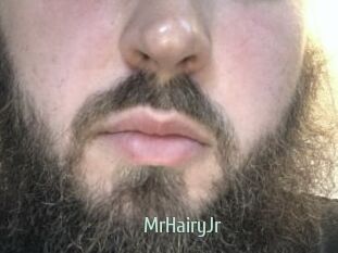 MrHairyJr