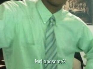 MrHandsomeX