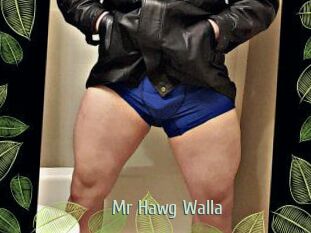 Mr_Hawg_Walla
