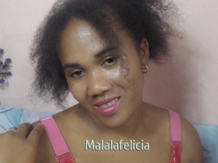 Malalafelicia