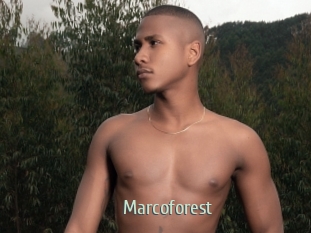 Marcoforest