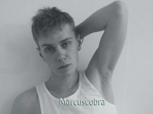 marcuscobra Sexcam Zone