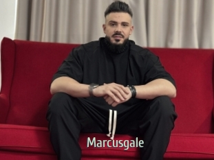 Marcusgale