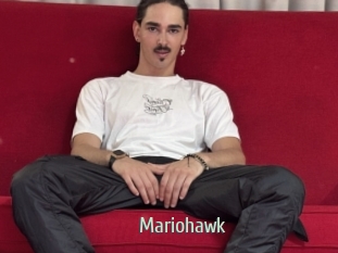 Mariohawk