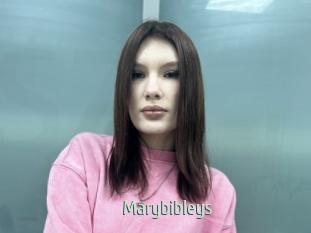 Marybibleys