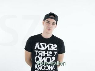 Mattestallion