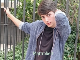 Mattrobert