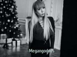 Megangodnes
