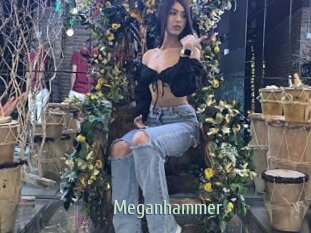 Meganhammer