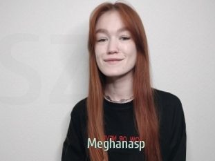 Meghanasp