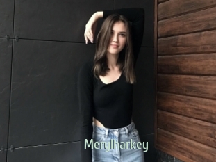 Merylharkey