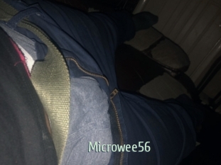 Microwee56