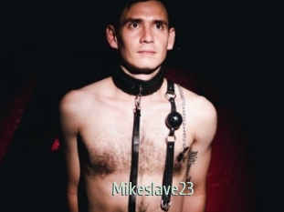 Mikeslave23