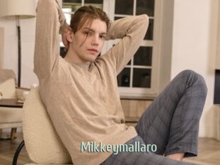 Mikkeymallaro