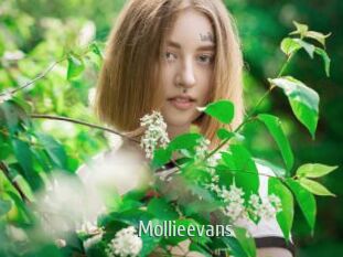 Mollieevans