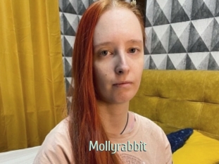 Mollyrabbit