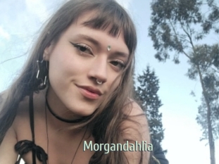 Morgandahlia