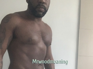 Mrwoodmoaning