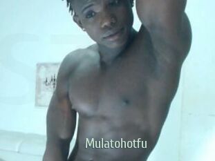 Mulatohotfu