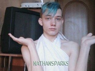 NATHAN_SPARKS