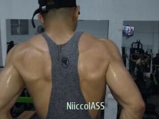 NiiccolASS