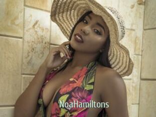 NoaHamiltons