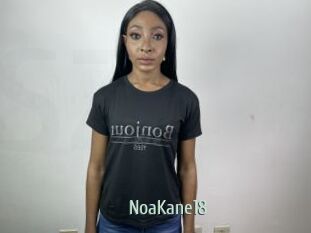 NoaKane18