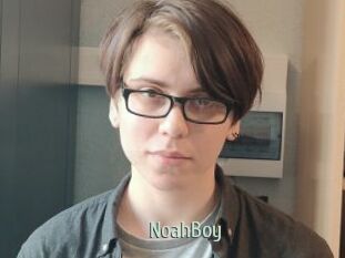 NoahBoy