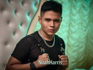 NoahHarris