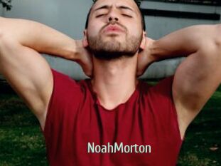 NoahMorton