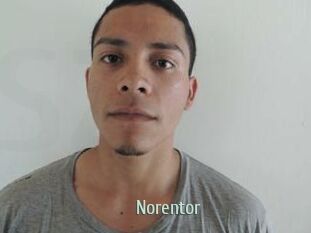 Noren_tor