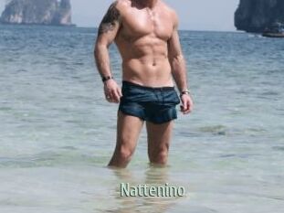 Nattenino