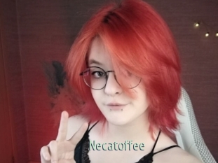 necatoffee Sexcam Zone