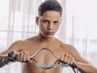 Nethanspecter
