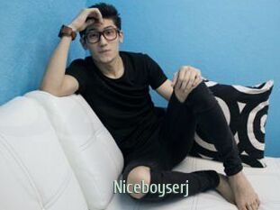 Niceboyserj