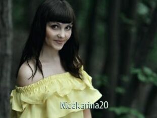 Nicekarina20