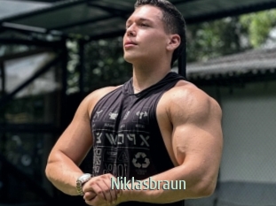 Niklasbraun
